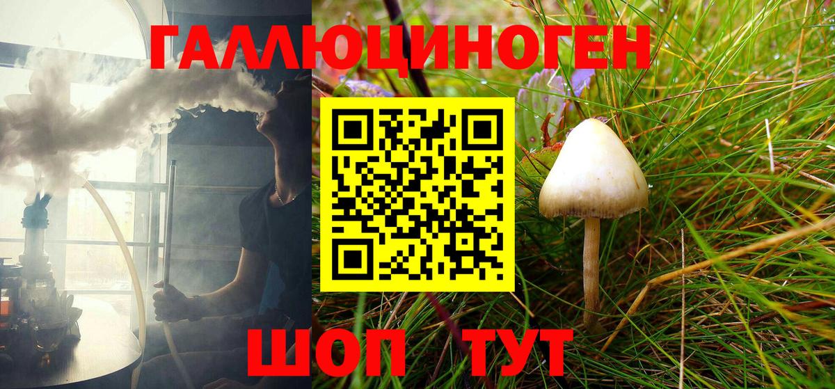 Галлюциногенные грибы Psilocybine cubensis  цена наркотик  Качканар  Вход с VPN 